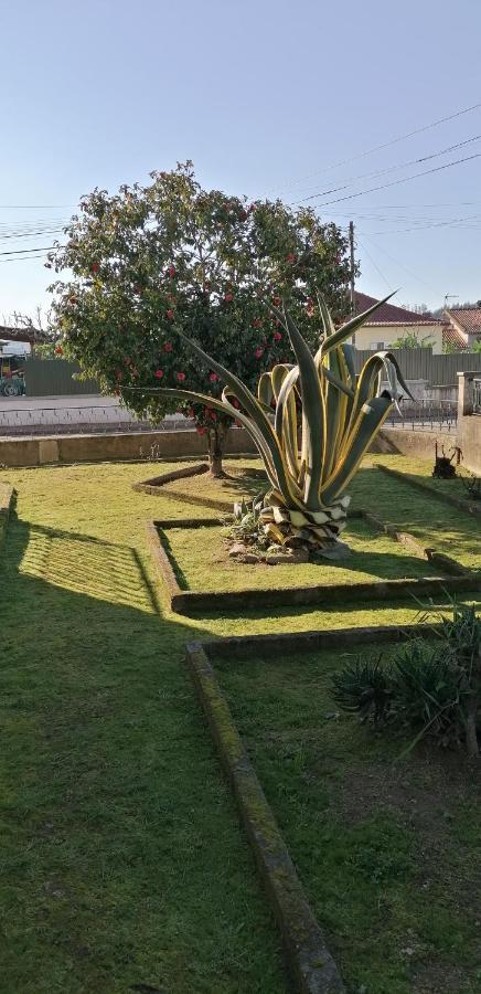 Vila Moradia Santa Comba Santa Comba Dao Exteriér fotografie